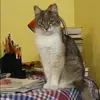 Отзыв от Надежда Морозова